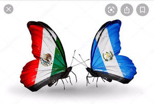 Meet your Posher, Eladia